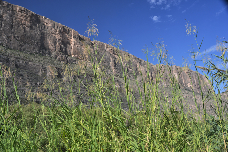 Santa Elena Canyon